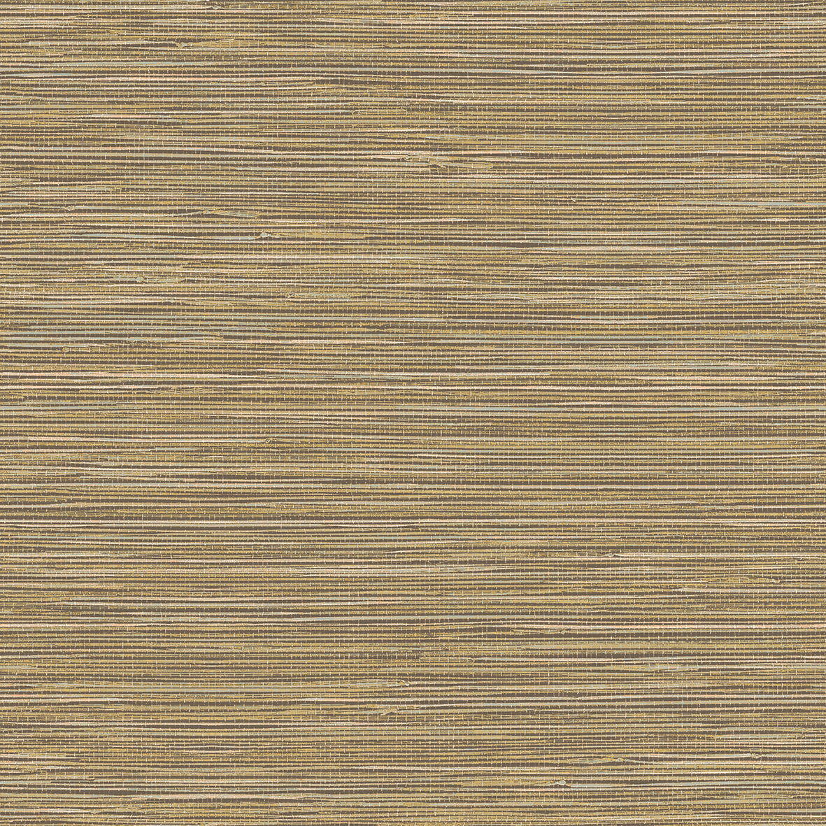 Shades of Colour | TA25042