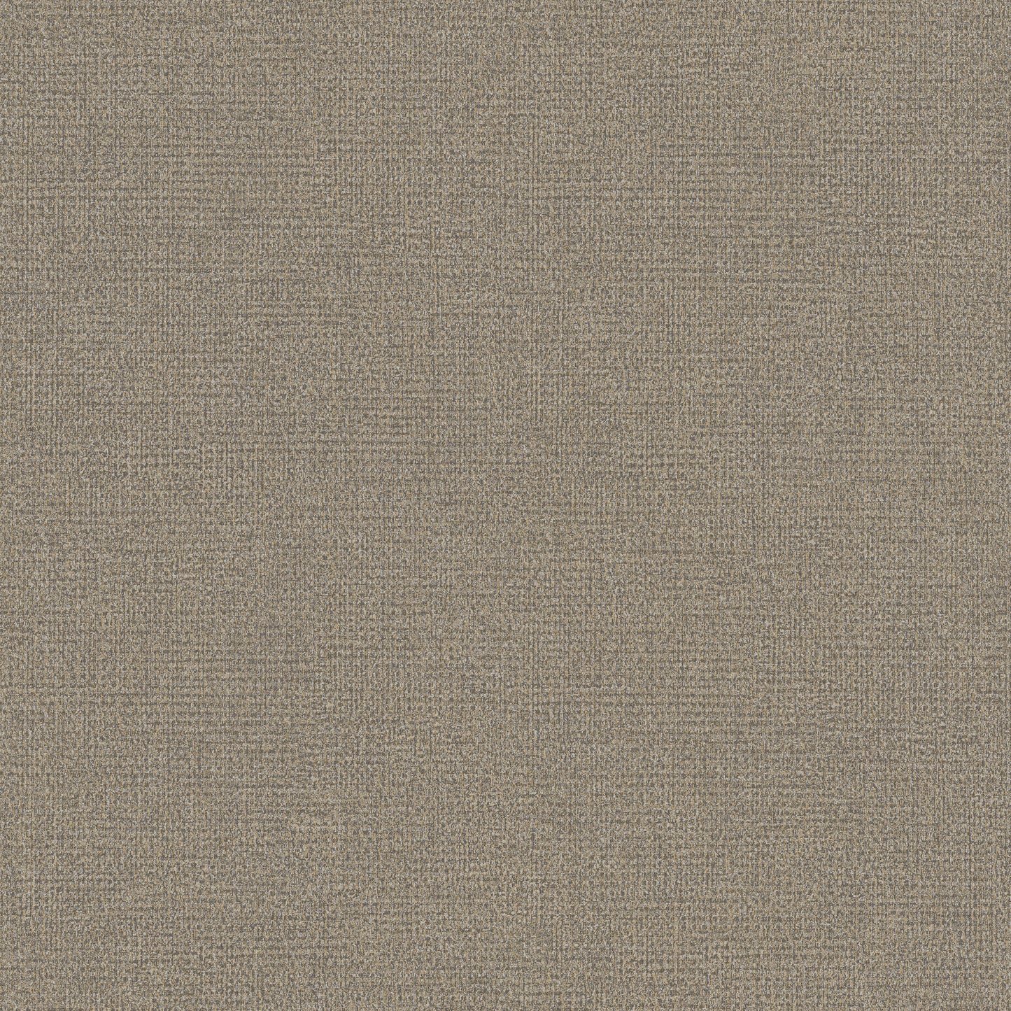 Shades of Colour | RE25128