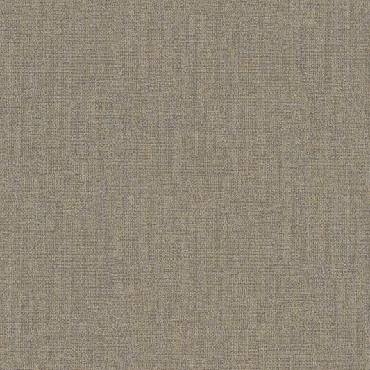 Shades of Colour | RE25128