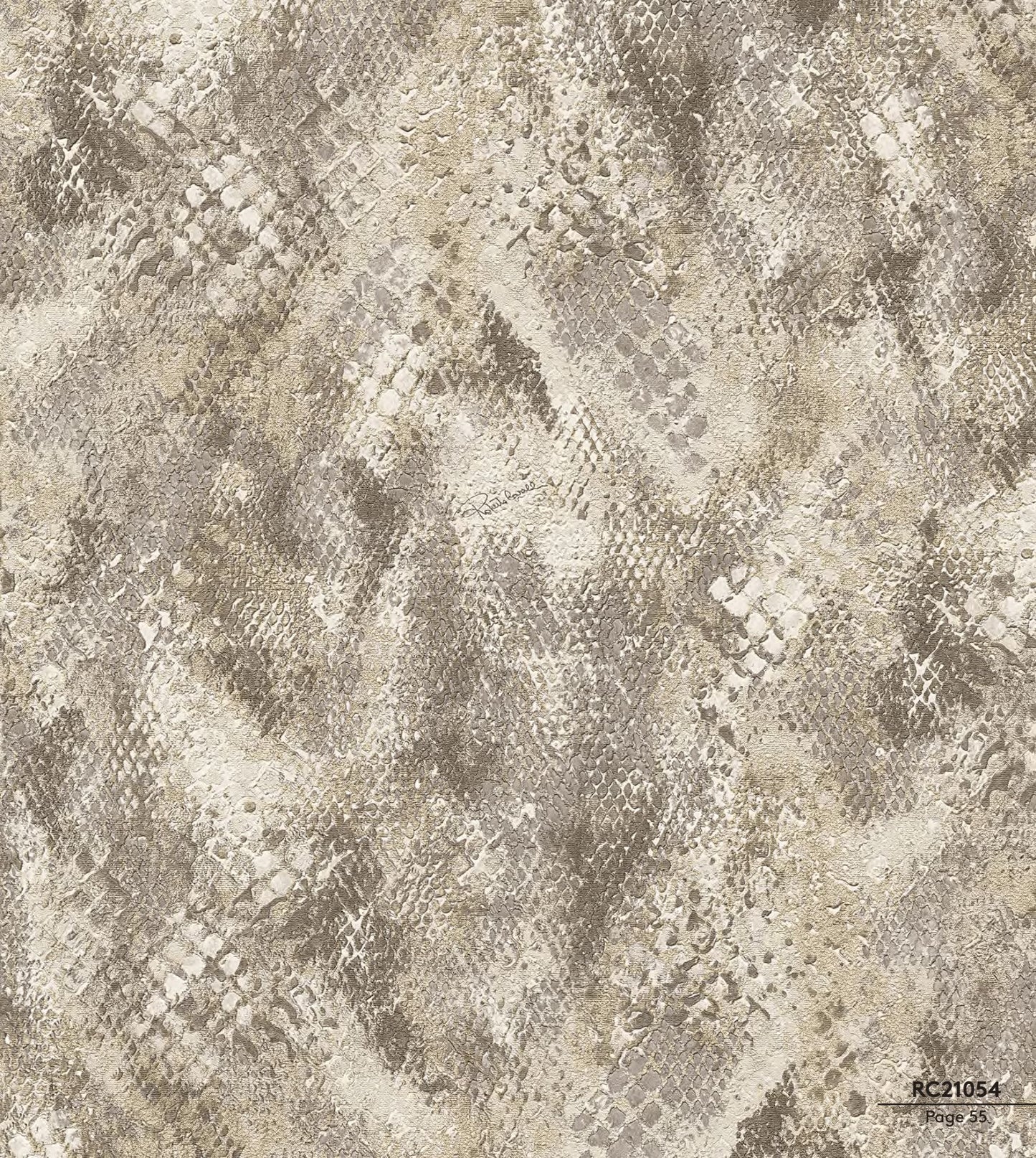 Roberto Cavalli | RC21054