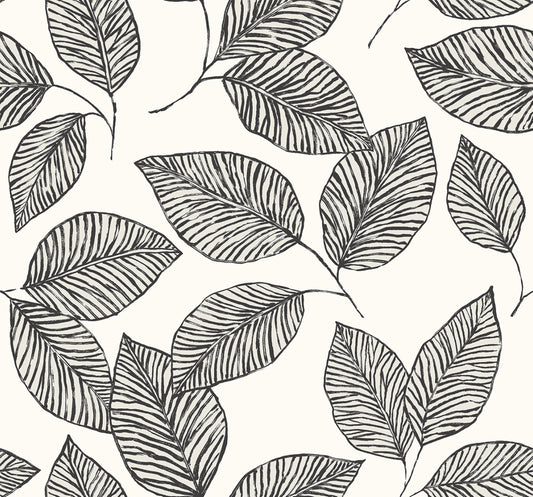 Modern Living Painted Leaf Black and White | WF40000